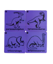 Load image into Gallery viewer, Dino Gift Set