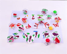 Load image into Gallery viewer, Paint Stamps – Life Cycle (Set of 15)