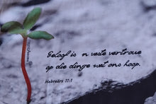 Load image into Gallery viewer, Small plant growing with a biblical quote.