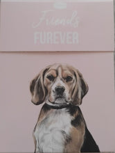 Load image into Gallery viewer, Small notebook with a dog illustration and 'Friends Furever' text on a pink background