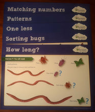 Load image into Gallery viewer, Bugs Counters & Activity Cards