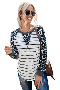 Leopard Print & Striped Raglan Sleeve Top