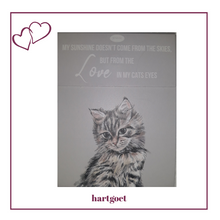 Load image into Gallery viewer, Paws for thought notepad - my sunshine doesn&#39;t come from the skies, but from the love in my cats eyes
