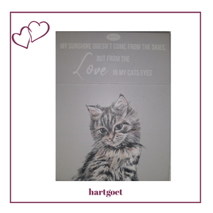 Paws for thought notepad - my sunshine doesn't come from the skies, but from the love in my cats eyes