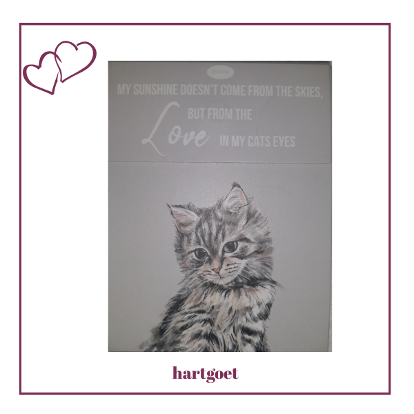 Paws for thought notepad - my sunshine doesn't come from the skies, but from the love in my cats eyes