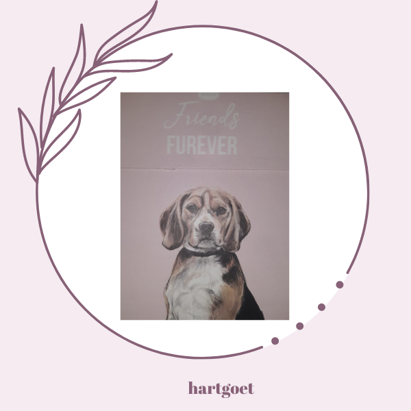 Paws for thought notepad - Friends furever