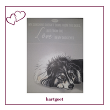 Load image into Gallery viewer, Paws for thought notepad - My sunshine doesn&#39;t come from the skies, but from the love in my dogs eyes
