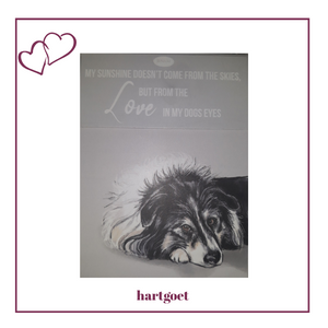 Paws for thought notepad - My sunshine doesn't come from the skies, but from the love in my dogs eyes