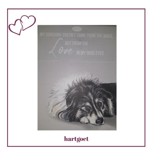 Paws for thought notepad - My sunshine doesn't come from the skies, but from the love in my dogs eyes