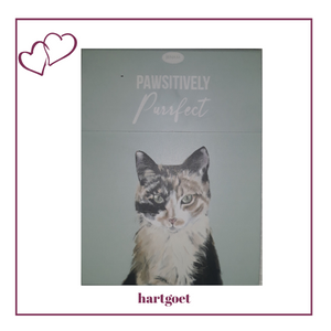 Paws for thought notepad - Pawsitively Purrfect