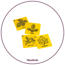 Load image into Gallery viewer, Plastic Rubbing Plates - Leaves
