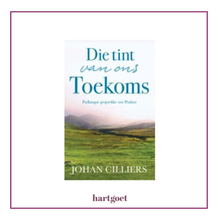 Load image into Gallery viewer, Book cover of 'Die tint van ons Toekoms' by Johan Cilliers with a scenic landscape.
