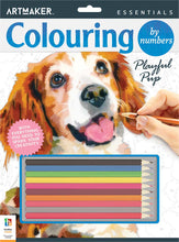 Load image into Gallery viewer, Colouring by Numbers - Playful Pup
