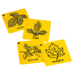 Plastic Rubbing Plates - Leaves