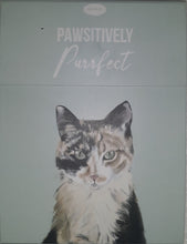 Load image into Gallery viewer, Paws for thought notepad - Pawsitively Purrfect
