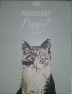 Paws for thought notepad - Pawsitively Purrfect