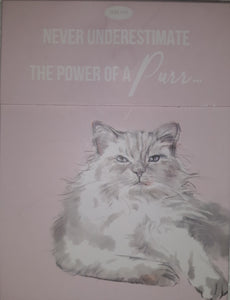 Paws for thought - never underestimate the power of a purr